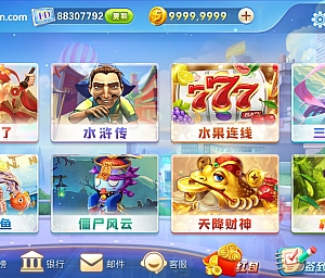 网狐系列飞米电玩组件 游戏完整代码批发